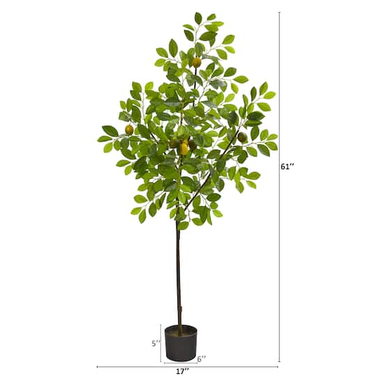 5ft. Potted Lemon Tree